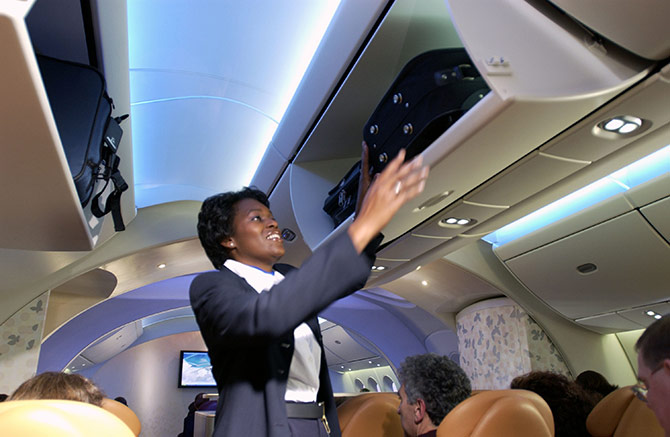 Musical Instrument In Flight Final Ruling for Air Travel with Musical Instruments - USA - Accordions ...