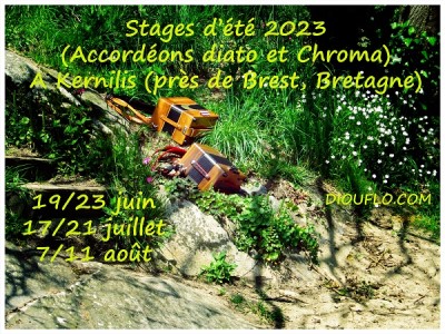 Diatonic &Chromatic Workshop